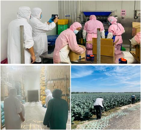 韓國(guó)客戶如期進(jìn)行年度訪問